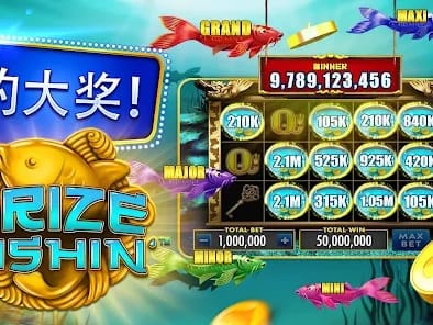 Daily Rewards and Bonus Dashboard